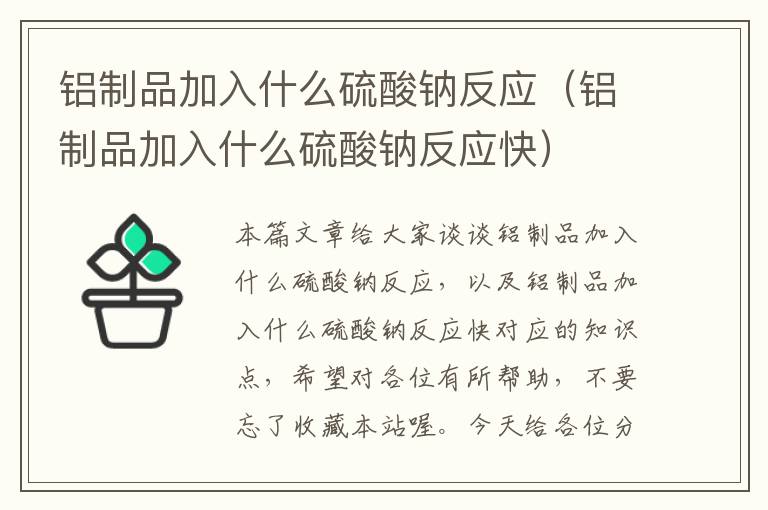 铝制品加入什么硫酸钠反应（铝制品加入什么硫酸钠反应快）