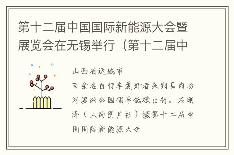 第十二届中国国际新能源大会暨展览会在无锡举行（第十二届中国新能源国际高峰论坛）