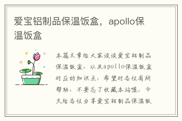 爱宝铝制品保温饭盒，apollo保温饭盒