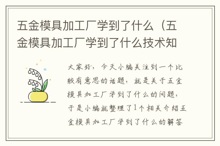 五金模具加工厂学到了什么（五金模具加工厂学到了什么技术知识）